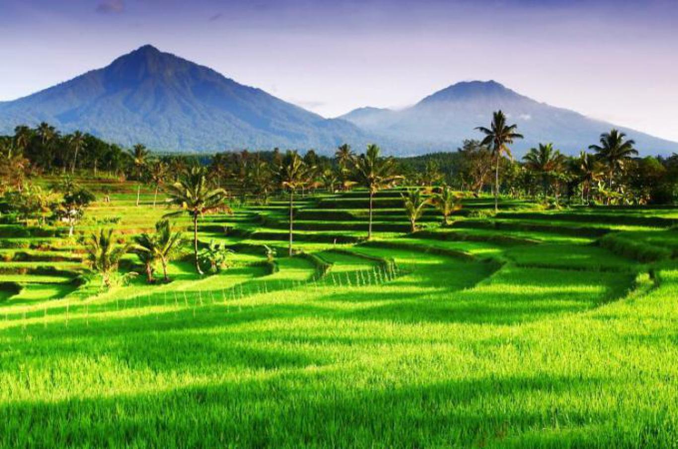 Test Berita 1